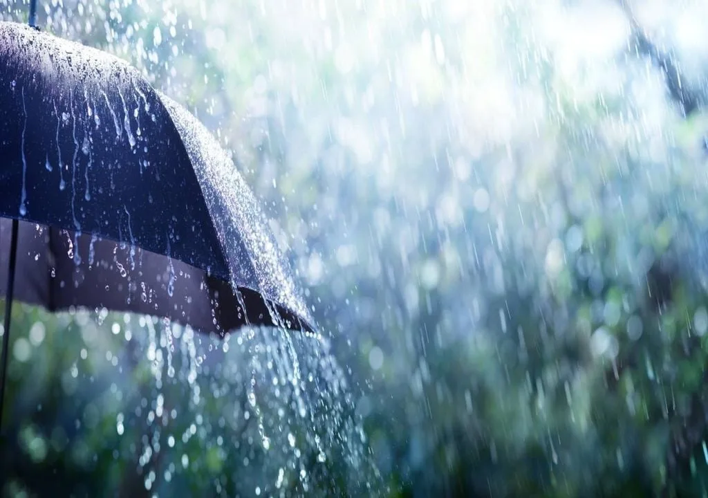 Frente fria traz chuva para Sul e Sudeste; confira a previsão do tempo para cada região