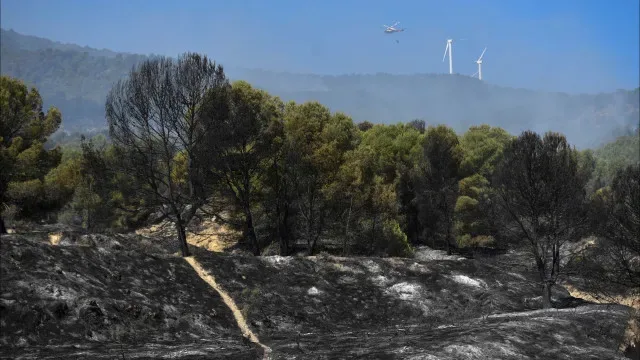 Cerca de 60 concelhos de 10 distritos em perigo máximo de incêndio