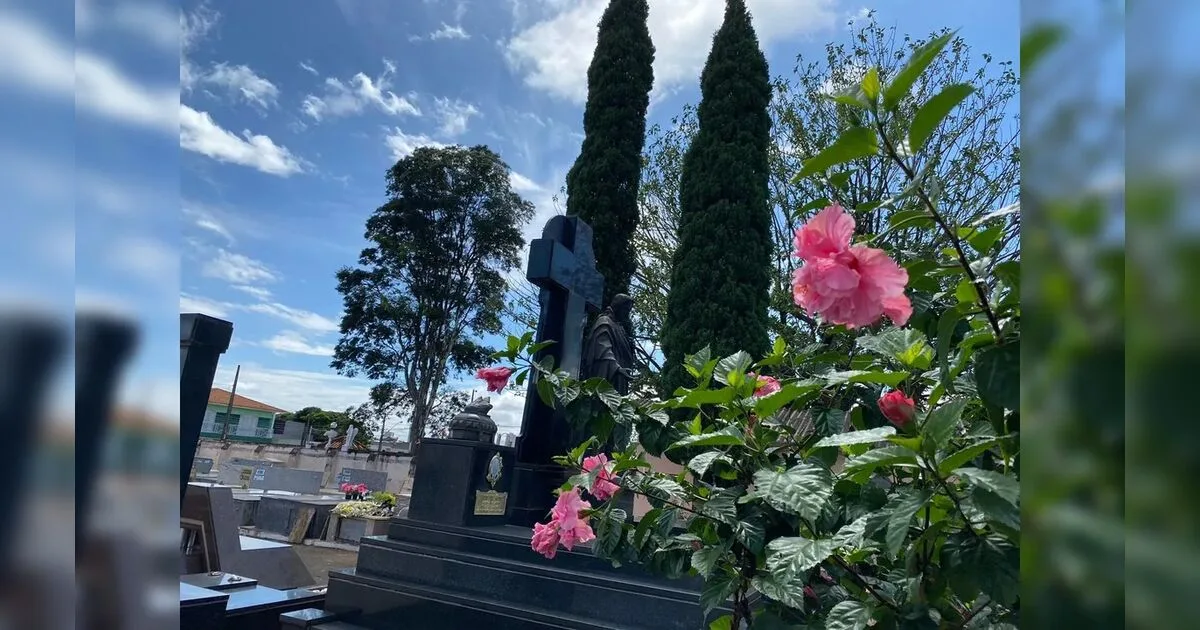 Confira os falecimentos deste sábado (22) em Apucarana e região