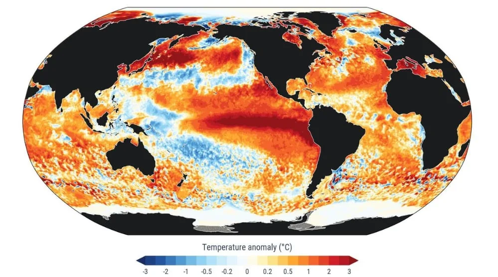 Récord global en los océanos: la temperatura media alcanza su máximo histórico en plena intensificación del fenómeno de El Niño