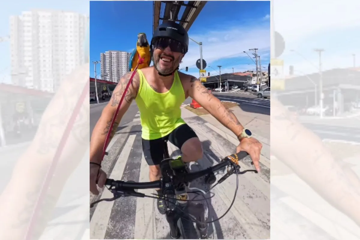 Chamada de papagaio, arara "rebate" e corrige pedestre na rua