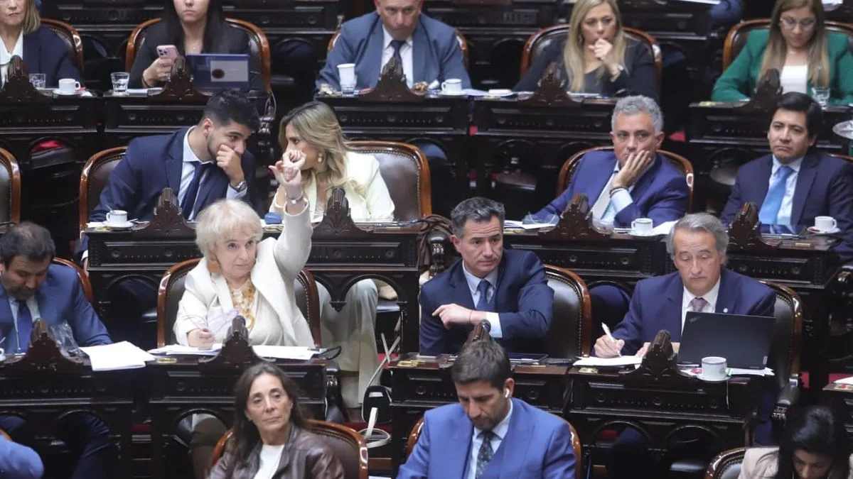 Convocar para paralizar: la estrategia del Gobierno en Diputados para morosidad y discapacidad