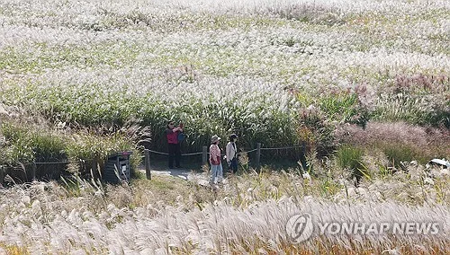 가을 잊은 30도 늦더위…13일 비 온 뒤 기온 '뚝'
