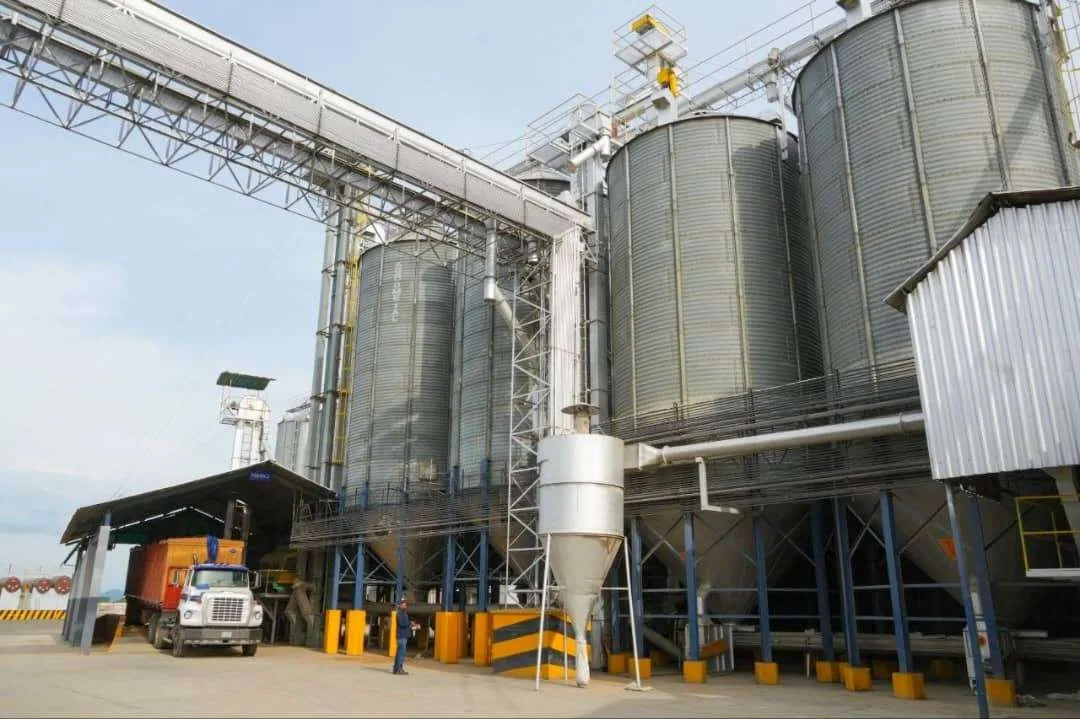 Productores de arroz en Portuguesa confirman el arrime de sus cosechas a los silos