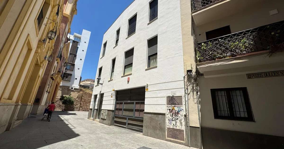 "San Martín inquilino": registros históricos revelan la infancia del Libertador de América en Málaga