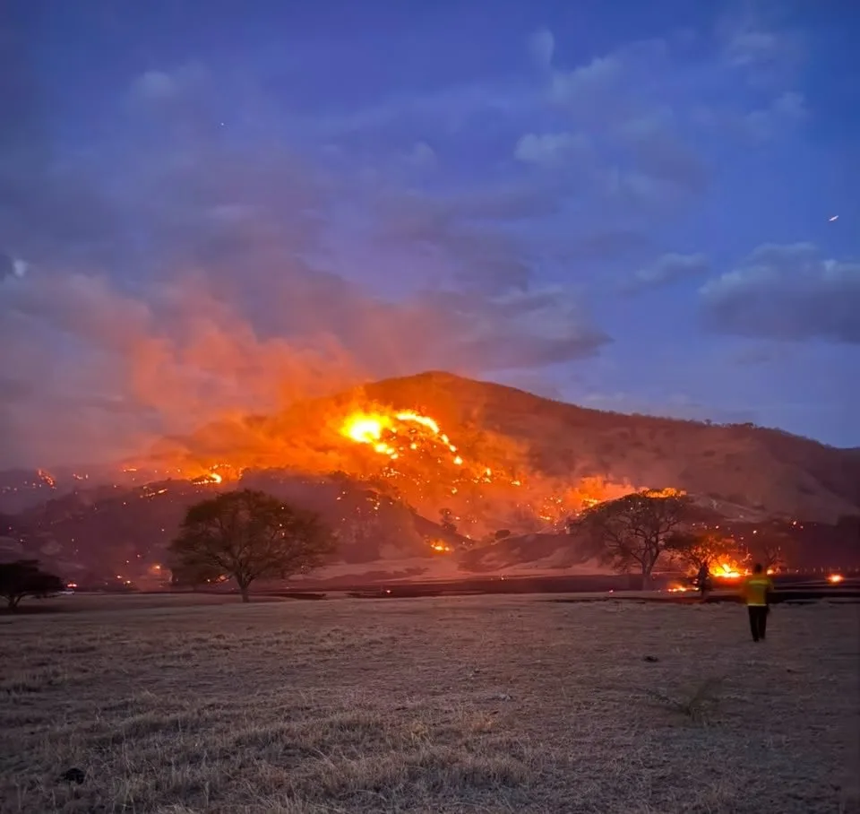 Agosto registró el 81,7% del área afectada por incendios en Cundinamarca en 2026: bomberos intensifican labores en 49 municipios