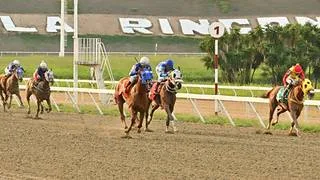 Ojo con esto: La primera favorita de la R34 reaparece para romper una larga racha sin ganar en La Rinconada