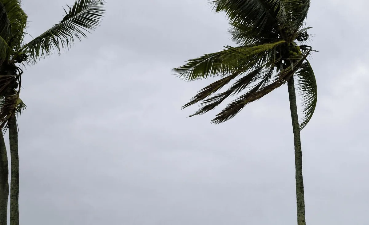 Vendaval deixa mais de 10 cidades de Goiás em alerta, diz Inmet