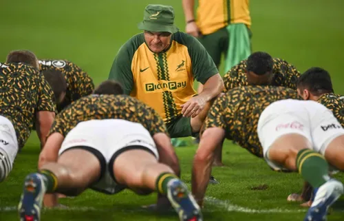 Springboks scrum guru Daan Human delivers straight verdict after All Blacks' 'walking around' claims