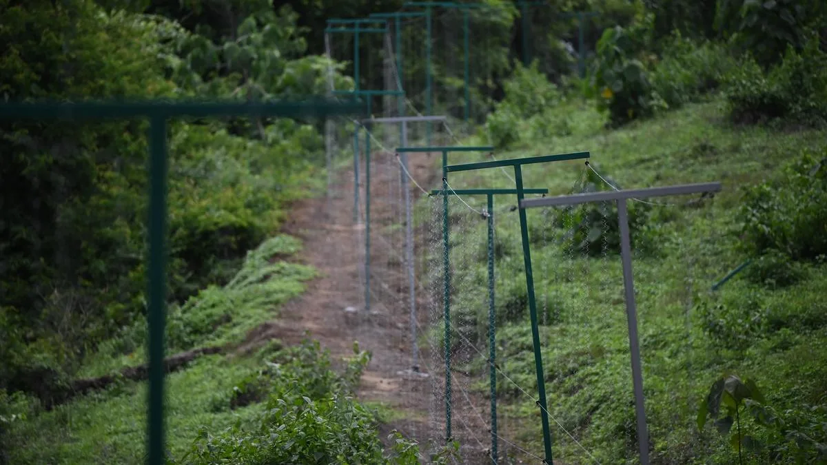 Wild animal menace: solar-powered hanging fences to be set up around vulnerable areas in Chakkittappara panchayat in Keralam’s Kozhikode