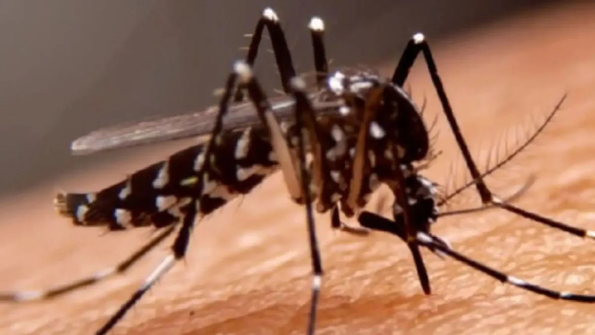 Día Internacional contra el Dengue: El Salvador registra alza de casos y refuerza vigilancia sanitaria