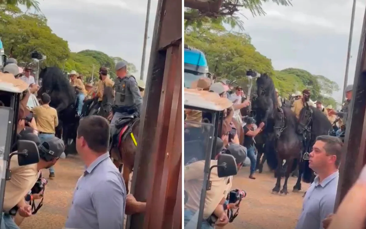 Susto de Andressa Suita com cavalo viraliza, e influenciadora que gravou cena reage: 'Ela dominou'
