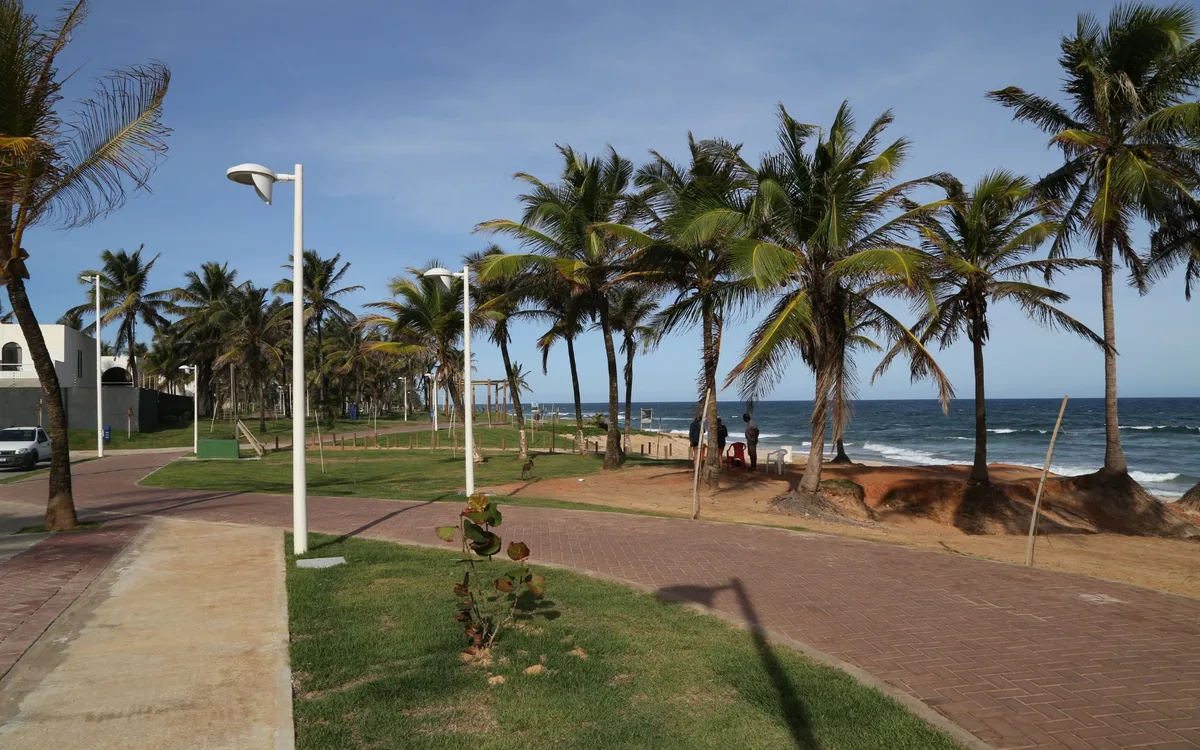 Ventania atinge praia de Salvador com rajadas de até 43,2 km/h