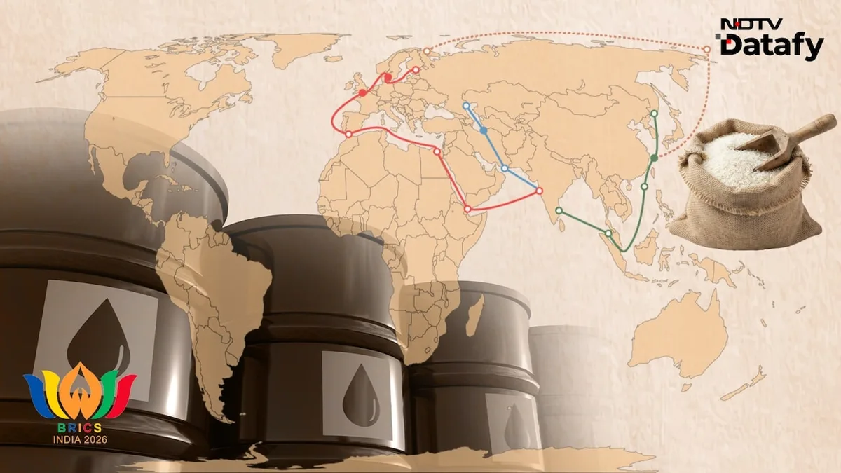 BRICS Targets Self-Reliance Through Energy, Food, Rare Earths