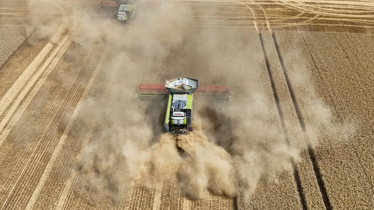 Landwirtschaft: Getreide und Winterraps: Landwirte mit schlechter Ernte