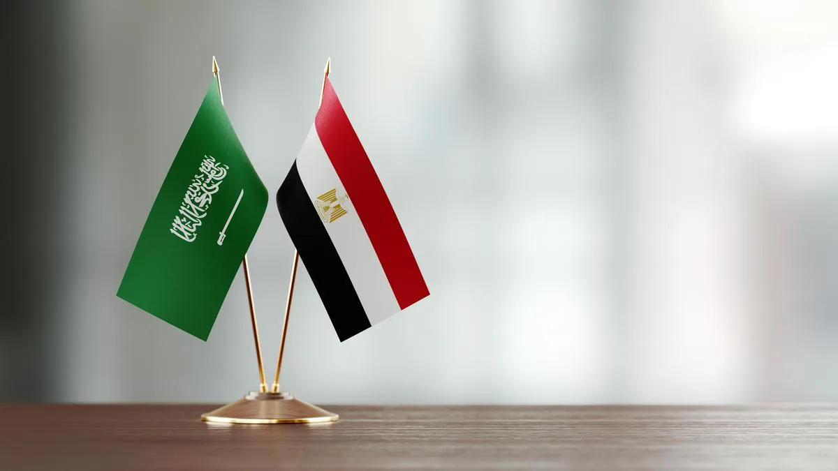 Saudi Arabia intercepts Houthi drones as Egypt weighs defensive support