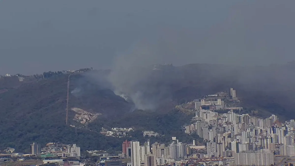 Incêndio atinge área de preservação no Buritis, em BH