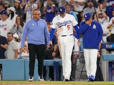 Dodgers' Freddie Freeman somehow avoids serious injury in frightening fall into visitors' dugout