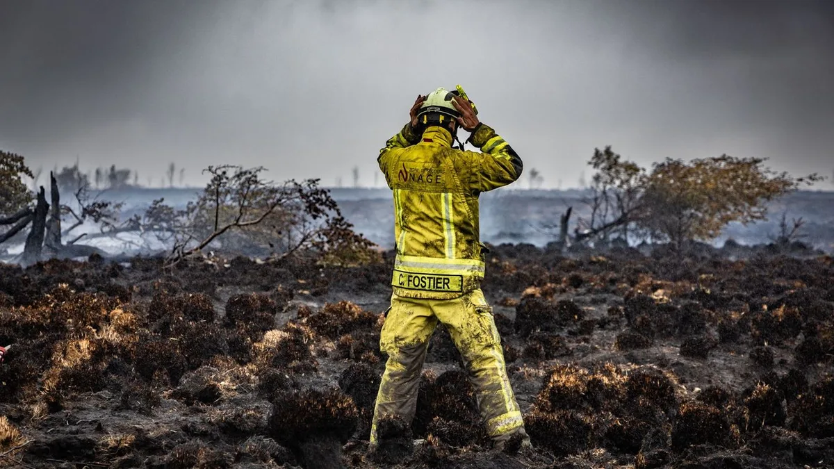 Brand: Feuer im Hohen Venn: Wird sich das Moor jemals erholen?