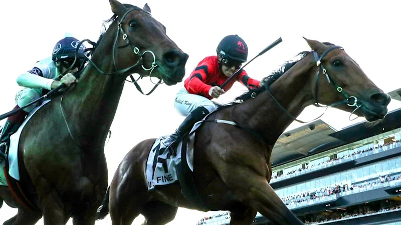 Racing NSW defends stand on Metropolitan despite loss of group 1 status