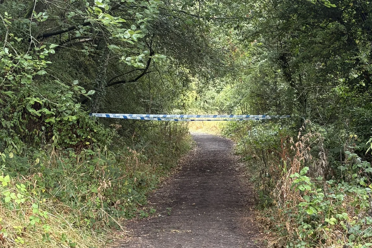 Owner’s dog fatally bit man on path after ‘right of way’ argument, court told