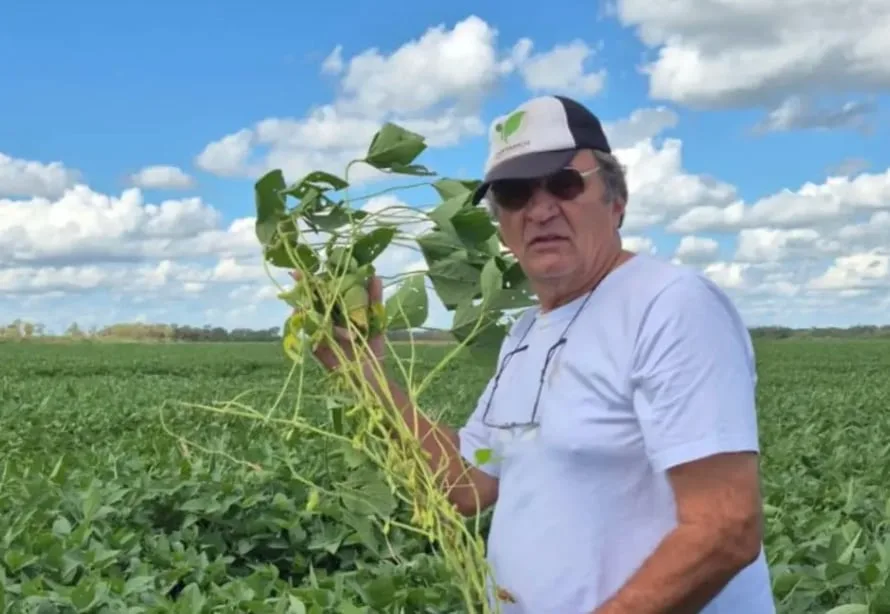 “Irrecuperable”: una empresa agropecuaria del hermano de Jorge Capitanich debe $7512 millones y está en la categoría de mayor riesgo en el Banco Central