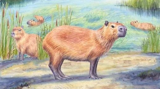 El inesperado hallazgo de un diente de carpincho de 9 millones de años que reescribe la historia del desierto de Atacama