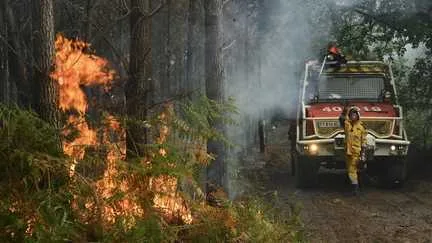 L'incendie dans les Landes est "fixé" et une partie des habitants évacués peuvent rentrer chez eux, annonce la préfecture