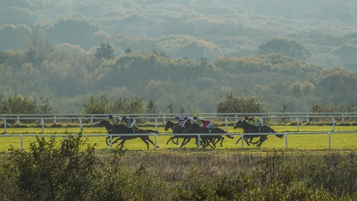 Withtearsinmyeyes chases first success at Ffos Las
