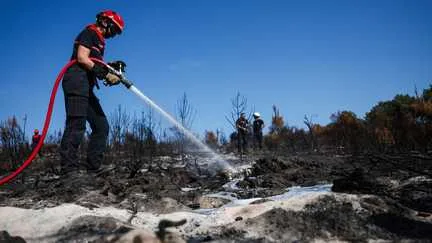 Incendies : le Sdis de Gironde a reçu plus de 750 candidatures pour devenir sapeur-pompier volontaire depuis le feu de Saumos