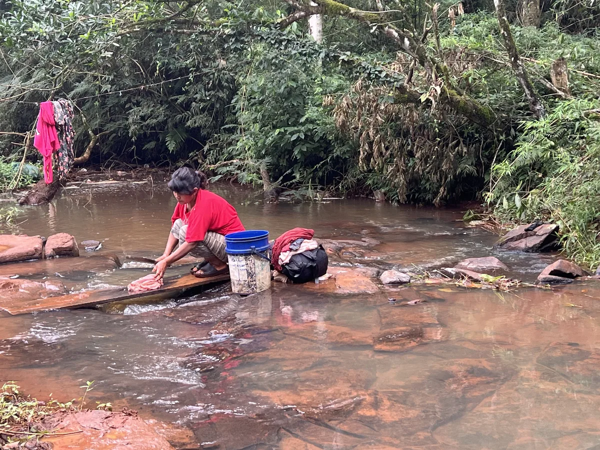 En Misiones, una comunidad Mbya Guaraní resiste a la forestación mientras vive sin luz ni agua
