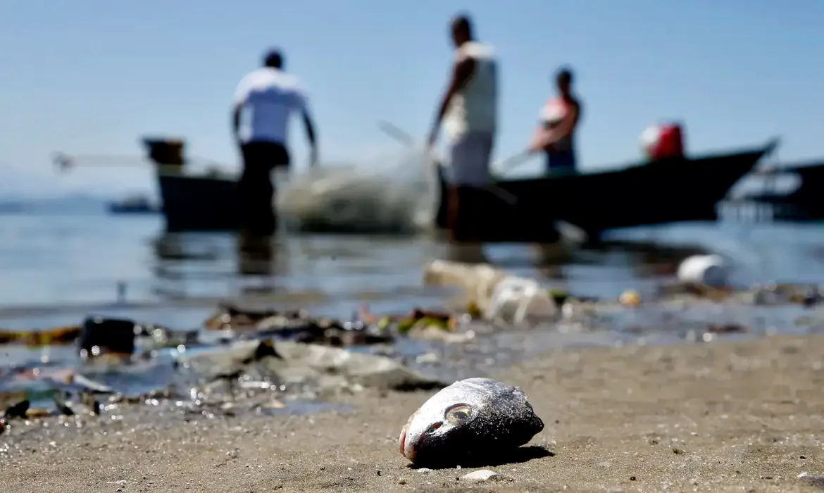 Pesca e a aquicultura são atividades vulneráveis aos efeitos do El Niño, alerta Ministério
