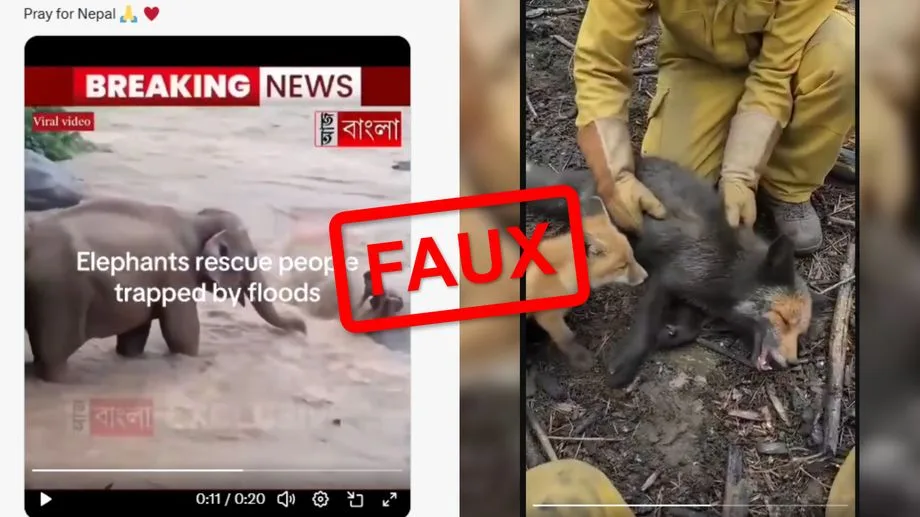 Crue au Népal, incendie en Gironde : certaines images virales peuvent être truquées