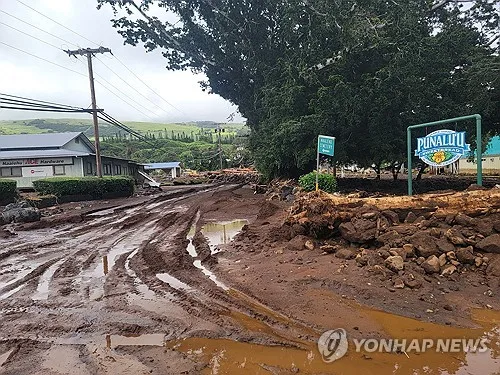 "허리케인 겨우 넘겼는데"…하와이에 또 열대성 폭풍 접근