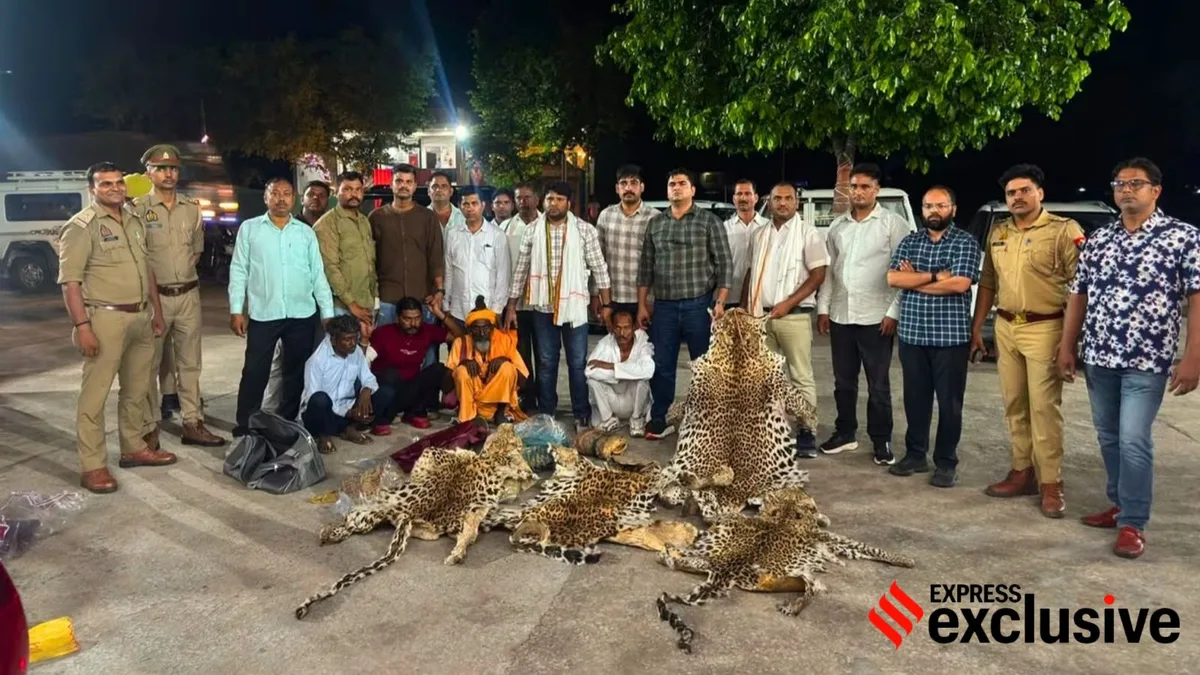 Leopard skins seized, top Delhi wildlife NGO accused of nexus with poachers