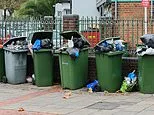 How to stop the house next door becoming a HMO: Overflowing bins, vermin and collapsing house prices. Dozens of readers like David have had their peace ruined - this is how you can avoid it happening to you
