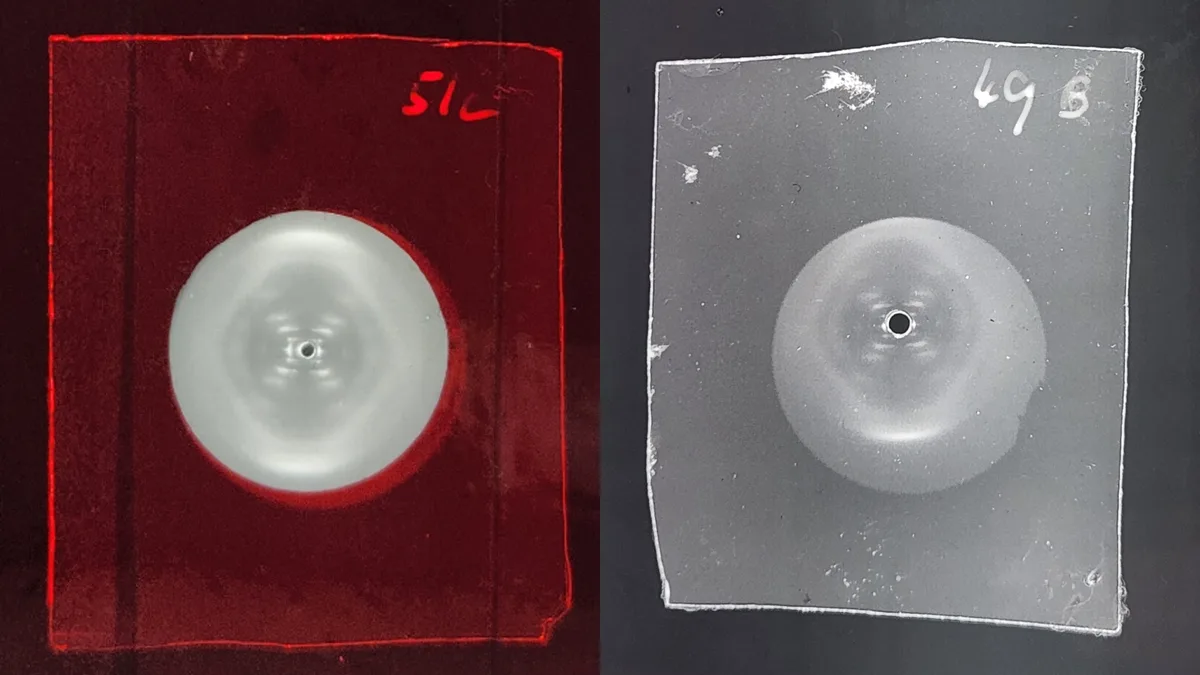 'She knew she had something really important on her hands': Rosalind Franklin figured out DNA's helical structure before Watson and Crick, study suggests