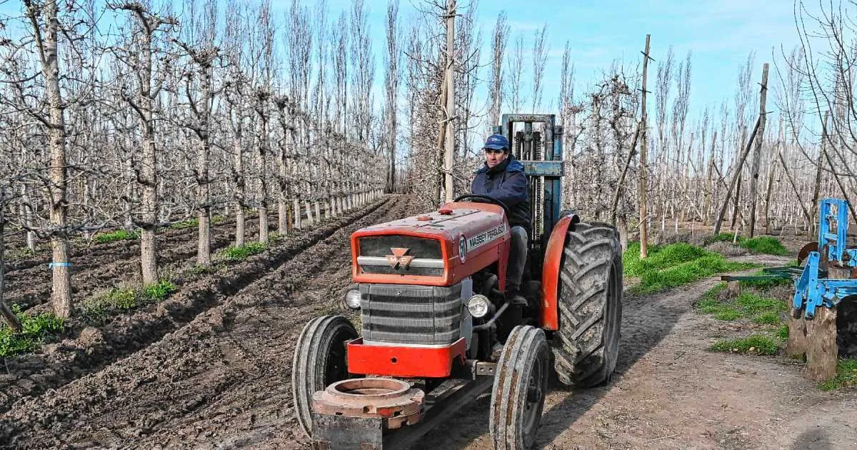 Una chacra frutícola de seis hectáreas en la Patagonia que pasó de una crisis profunda a ser orgánica y sustentable