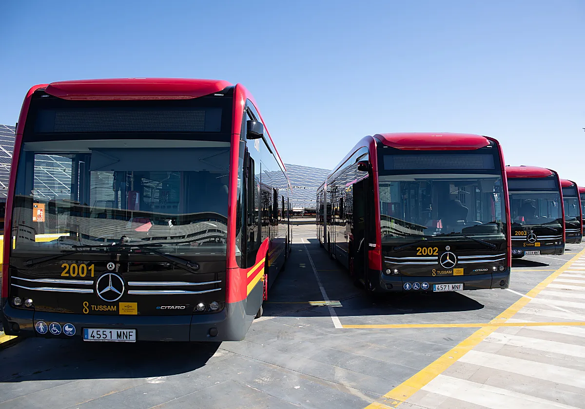 Tussam cambia las paradas de dos conocidas líneas de autobús desde hoy
