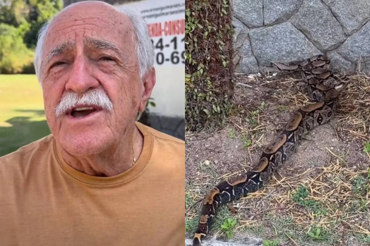 Ary Fontoura flagra jiboia em casa e relata susto nas redes sociais
