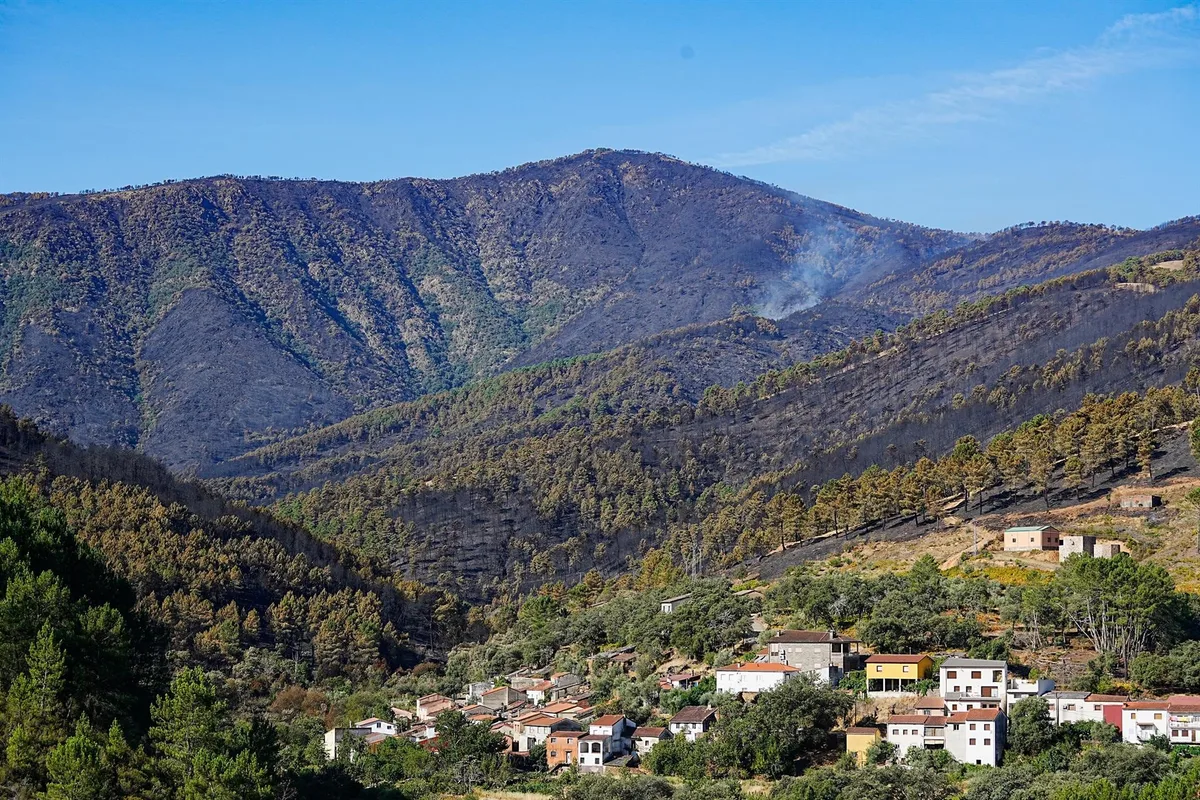 El Infoex rebaja a 3.765 las hectáreas afectadas por el incendio de Pinofranqueado (Cáceres)