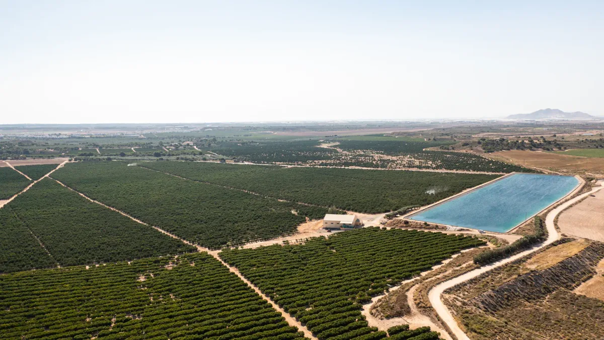 WWF denuncia la sobreexplotación y el robo de agua en seis acuíferos: se han regado más de 80.000 ha con "indicios de ilegalidad"