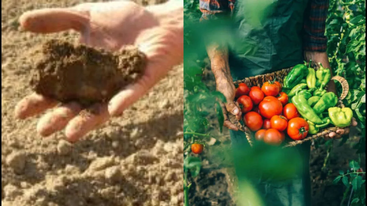 Oregon farmer grows crops for 40 years without irrigation