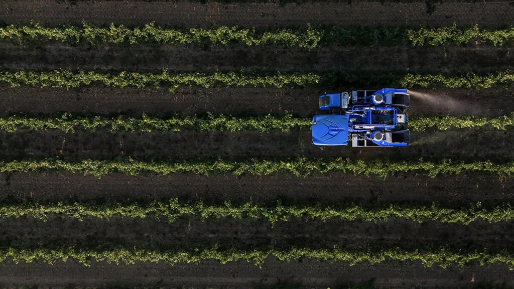 Canicule et pesticides, la double peine pour les travailleurs agricoles