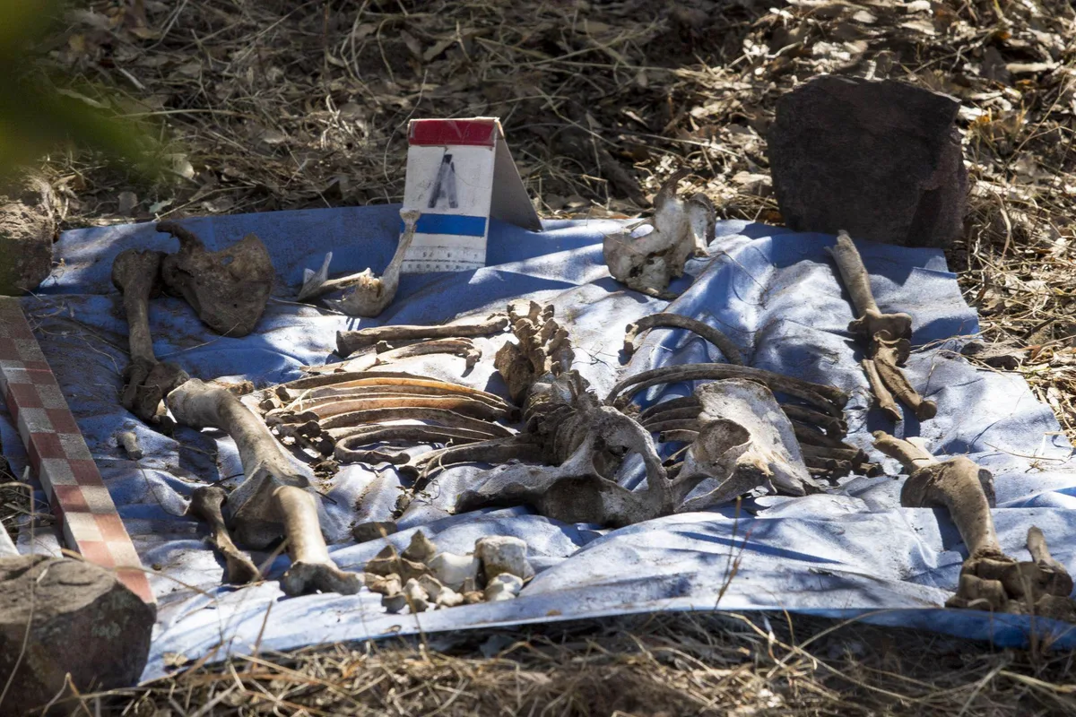 Sonora registra 324 atrocidades y 90 fosas clandestinas en menos de dos años, reporta ONG Causa en Común