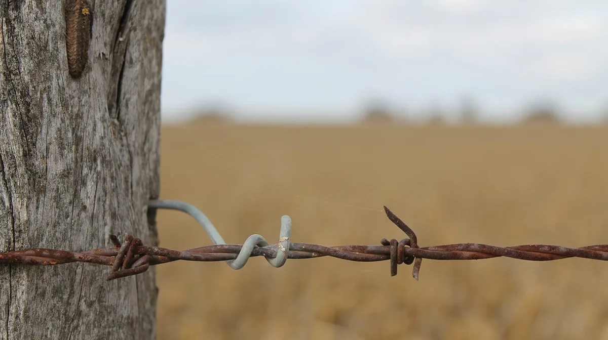 Productores impulsan un proyecto de ley para endurecer las penas al vandalismo rural