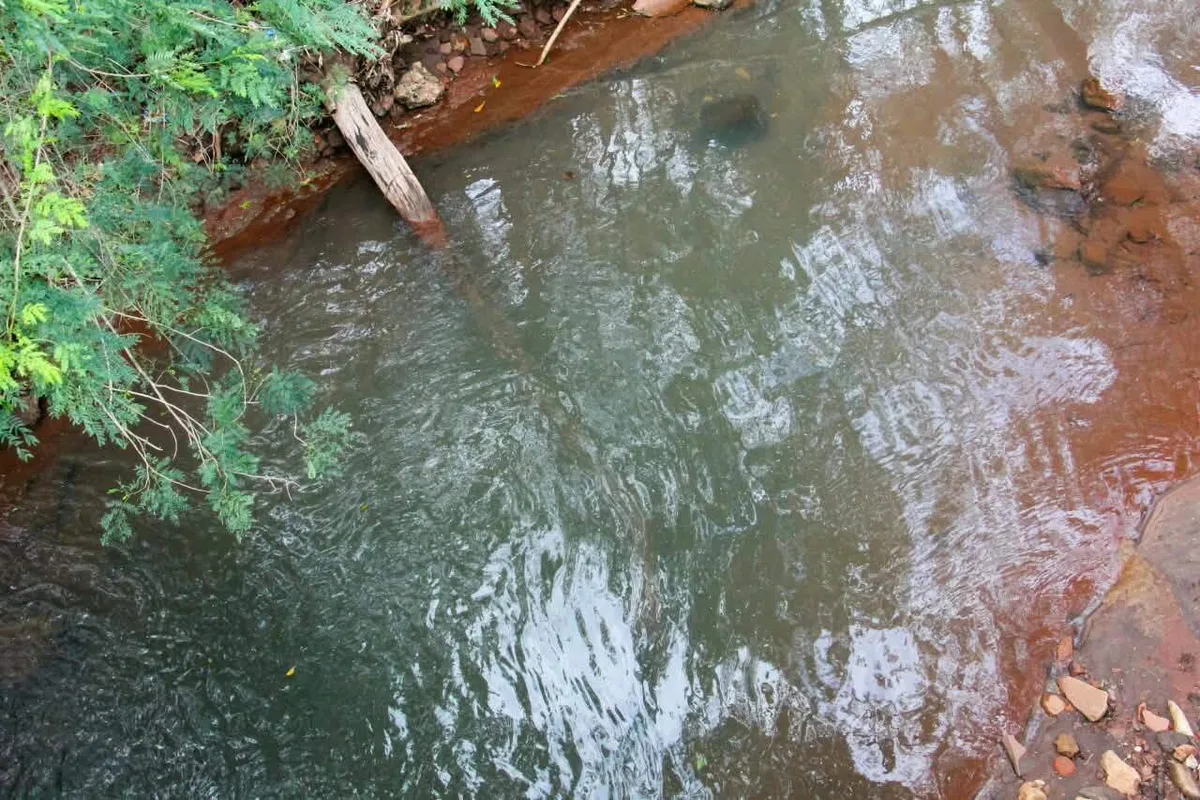 Mau cheiro e morte de peixes levam MP a apurar poluição no Córrego Imbirussu