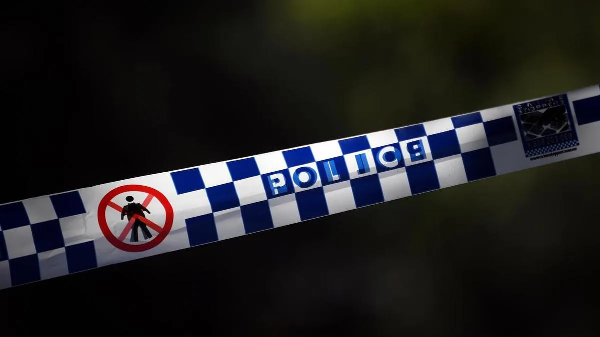 Alleged plotters behind Vietnam gang murder charged