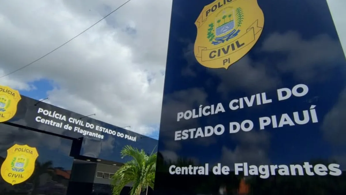 Filho é preso suspeito de ameaçar e agredir a própria mãe durante discussão no PI