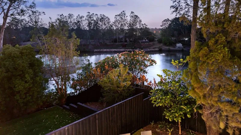 Root of the dispute: How a years-long Brisbane tree fight ended up in tribunal